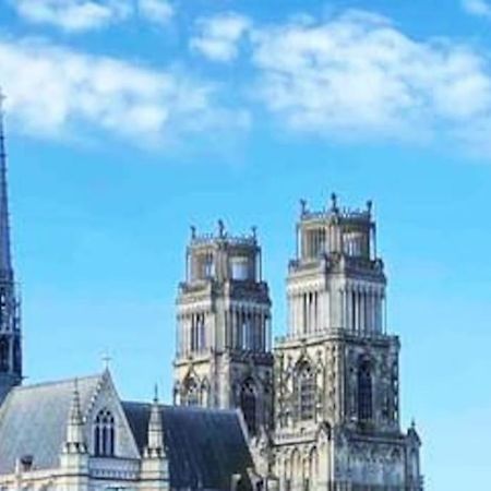 Superbe Appartement En Coeur De Ville オルレアン エクステリア 写真