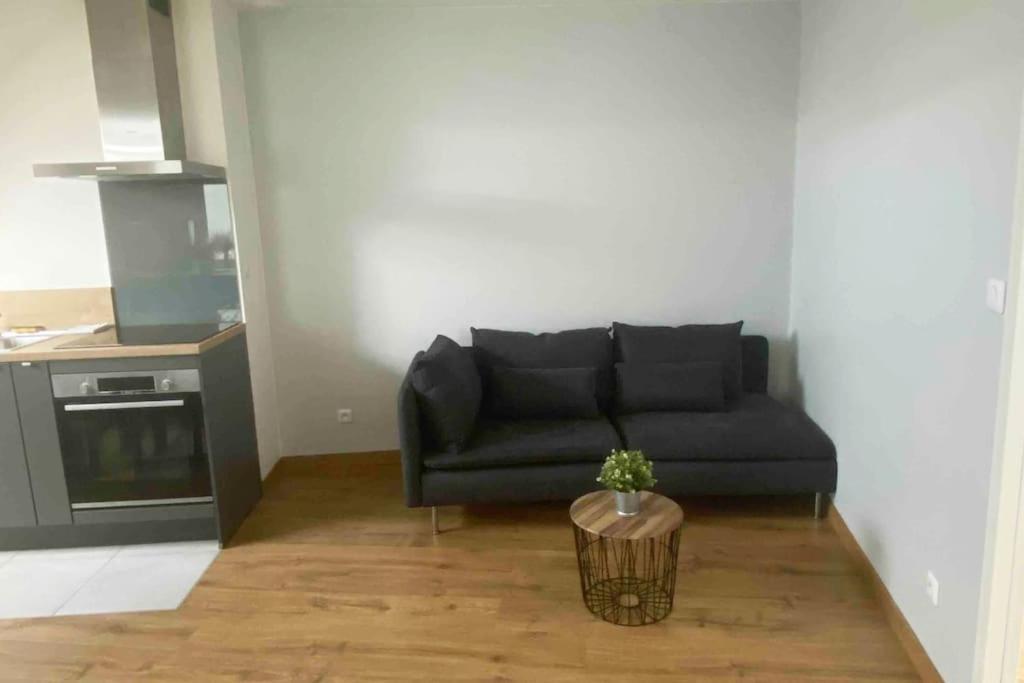 Superbe Appartement En Coeur De Ville オルレアン エクステリア 写真