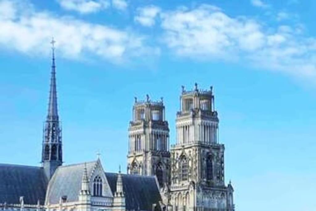 Superbe Appartement En Coeur De Ville オルレアン エクステリア 写真